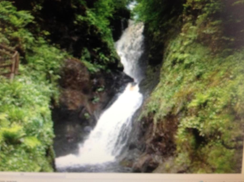 Garron View Bed and Breakfast Cushendall Exteriör bild